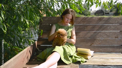 girl petting a small dog on her lap. Young girl with small attentive dog, teenager sitting maltipoo on bench.