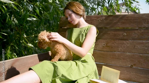 girl petting a small dog on her lap. Young girl with small attentive dog, teenager sitting maltipoo on bench.