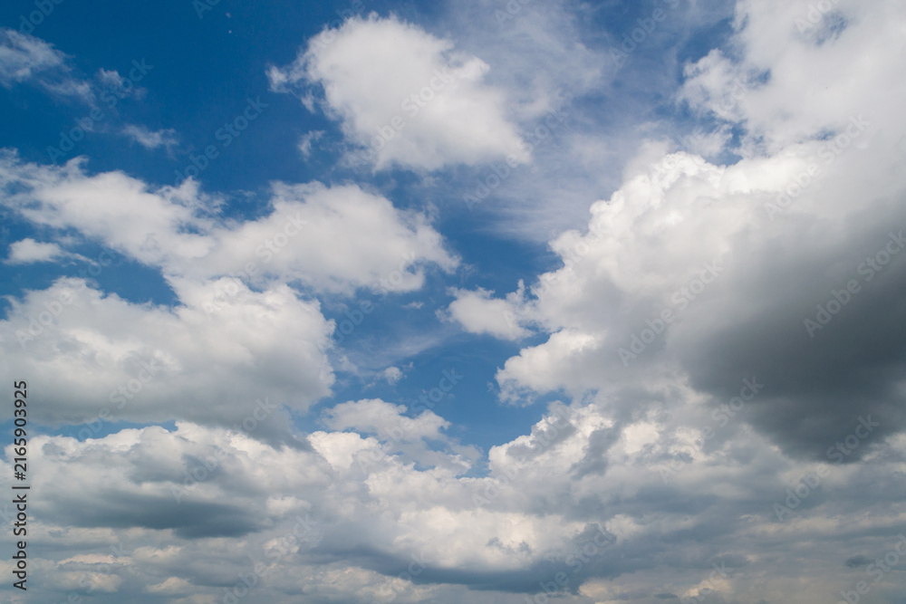 Fototapeta premium Scenic view of soft white cumulus clouds spreading across a vibrant blue sky during a clear daylight afternoon, ideal for nature background.