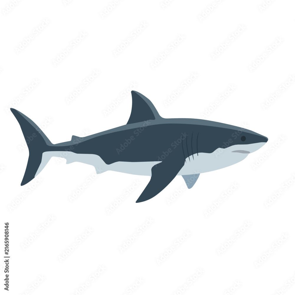 Fototapeta premium Powerful gray shark swimming with sharp fins and streamlined body, isolated on white background, cartoon vector illustration for ocean wildlife and marine themes
