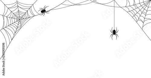Halloween spider web with two hanging spiders on white background vector illustration
