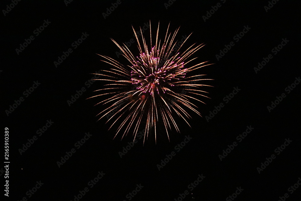 Fototapeta premium fireworks in the sky