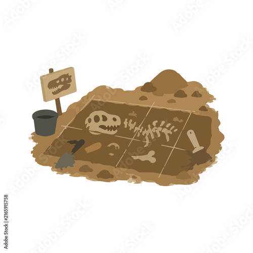 Fotografie Dinosaur Fossil Archaeological Excavation Site Illustration