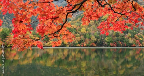 奥日光の紅葉の湯の湖