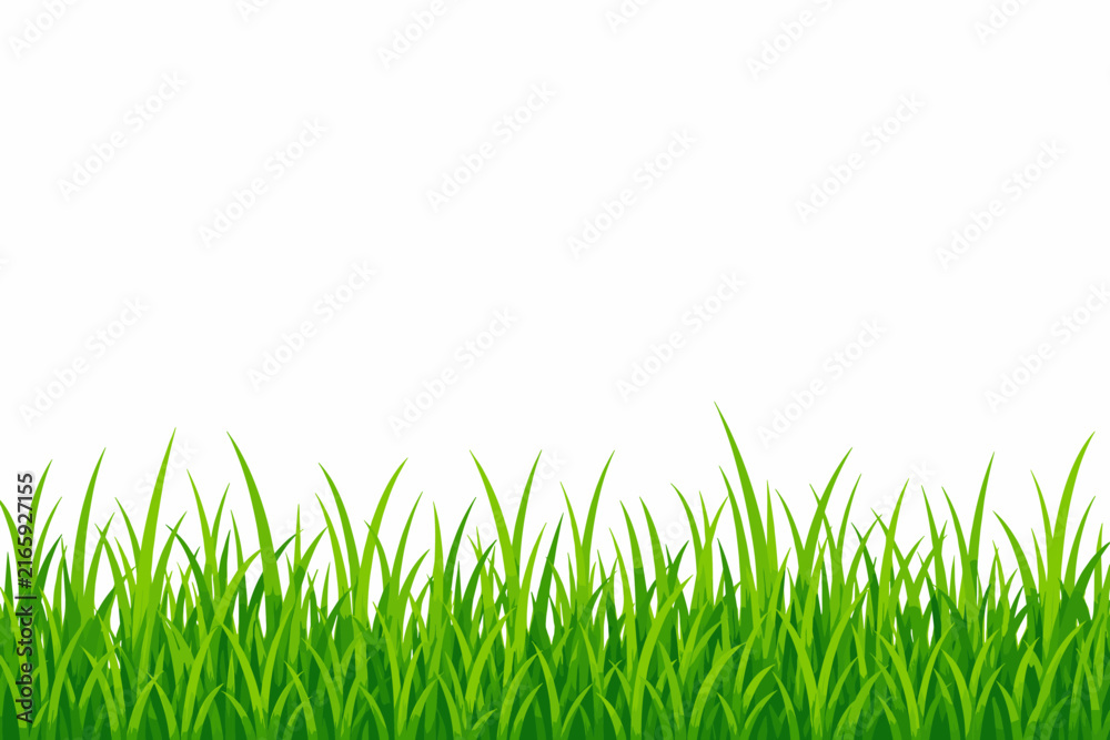 Fototapeta premium Green grass border illustration with fresh blades of lawn growing in a horizontal pattern for spring and summer nature design elements