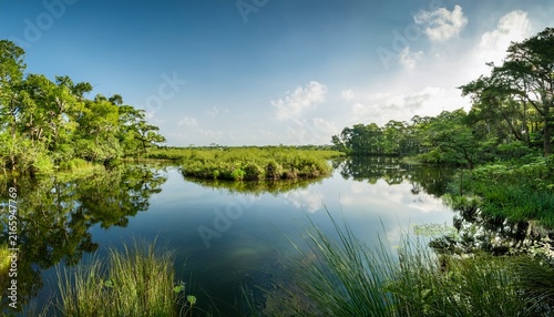Serene Wetlands With Lush Greenery Reflecting In Calm Water Surrounded By Nature In A Tranquil Setting