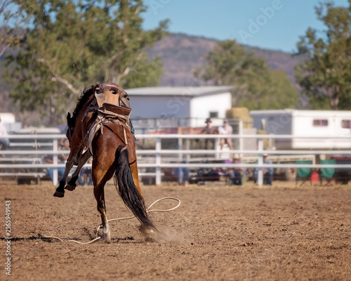 Fotografía Cowboy Falling Off Bucking Horse