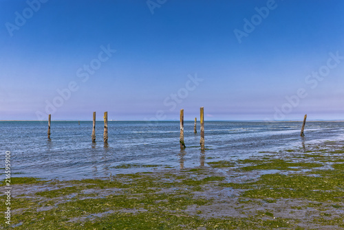Old Pilings in the Bay