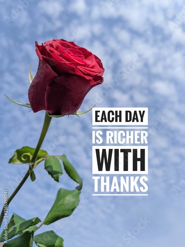 red rose on blue background. Single red rose against blue sky with inspirational text ‘Each day is richer with thanks,’ symbolizing gratitude and appreciation.