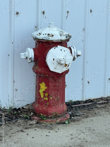 Decorative Fire Hydrant in an Outdoor Setting With Unique Design, Public Infrastructure and Urban Landscape Detail