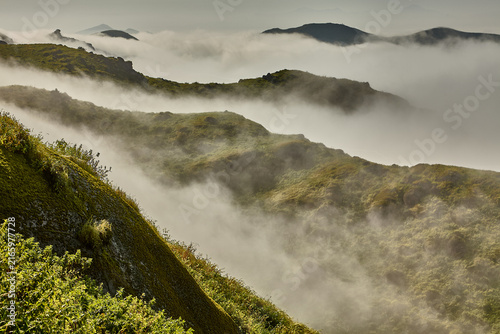 Vibrant green vegetation blankets the slope, a striking sign of the increased humidity and rainfall often associated with an approaching El Niño event along the Pacific coast. This rare seasonal trans