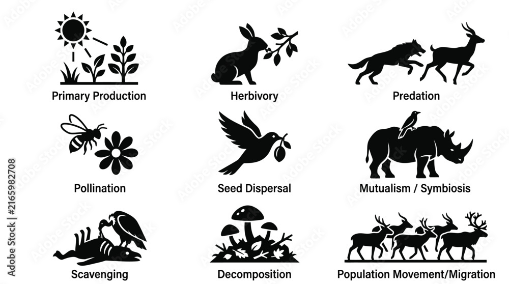 Obraz premium Ecological Processes and Biological Interactions.