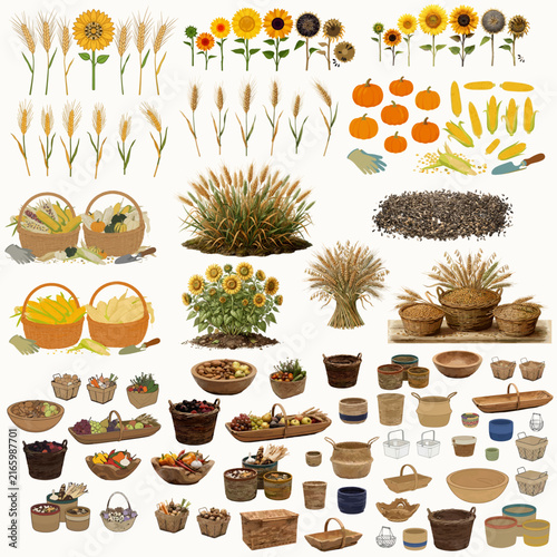 Large collection of agricultural harvest elements including wheat, corn, sunflowers, pumpkins, seeds, grain, baskets, bowls and rustic farm containers. 