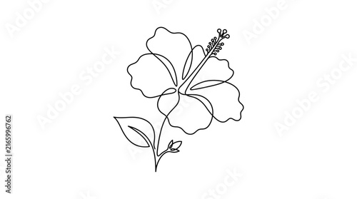Continuous Line Drawing of a Tropical Hibiscus Flower