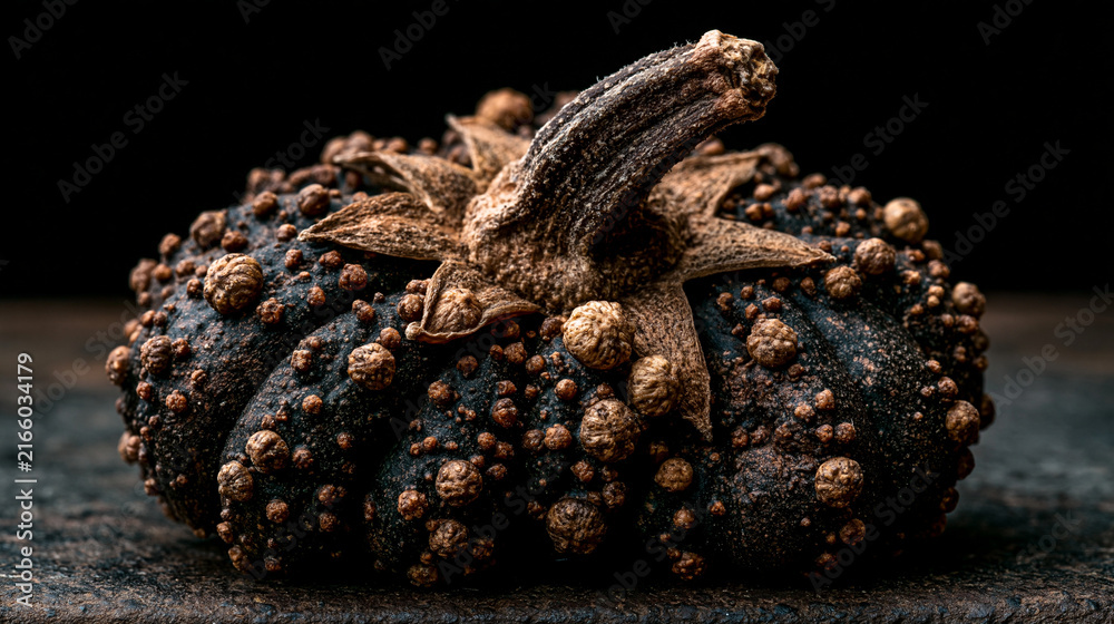 Fototapeta premium Dark bumpy decorative warty pumpkin on wooden table surface background with bumpy gourd