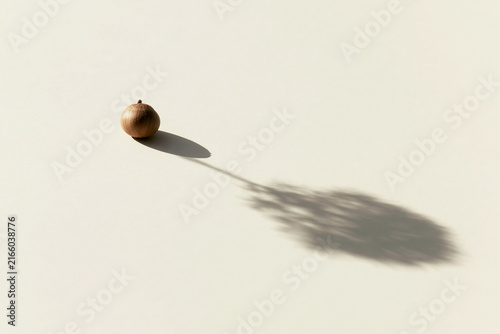 Small seed casting a tree shaped shadow surreal growth concept