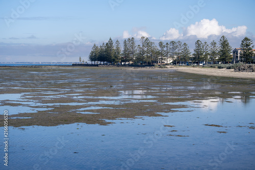 Canvas Print Shallow tidal flats and mudflats exposed during low tide along the coastline in Seaholme, Melbourne, Australia, with Norfolk Island pines along a suburban coastal trail