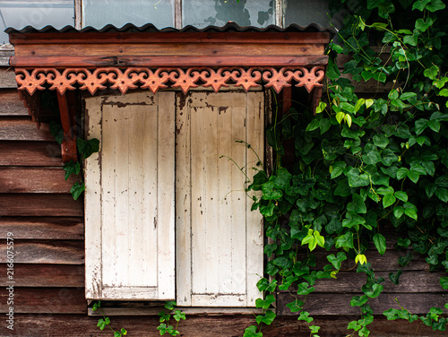 фотографія Weathered White Wooden Window Shutters with Green Vine and Carved Trim