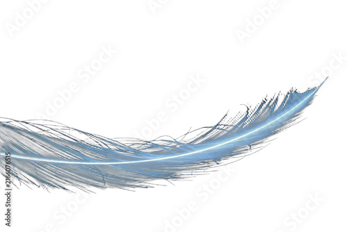 Abstract Glowing Feather on Black Background