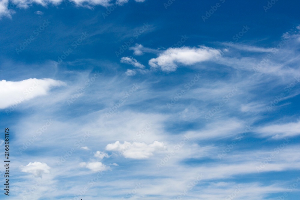 Fototapeta premium the sky is clear blue with fluffy white clouds, the sky is very bright, and the sun shines.