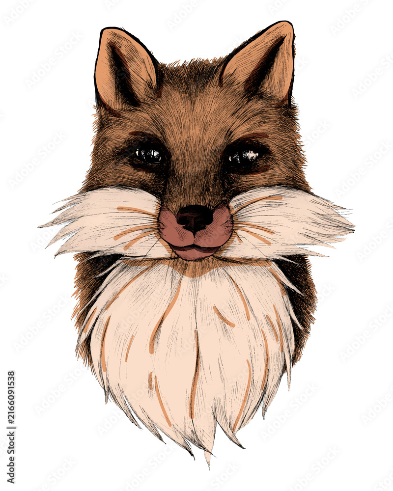 Naklejka premium Fox png illustration, transparent background