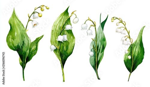 Watercolor illustration of four lily of the valley sprigs