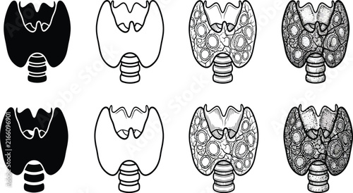 Foto Thyroid gland anatomy vector icons, human endocrine system diagrams, medical thy