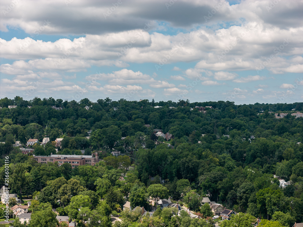 Fototapeta premium Top-down view of lush deciduous trees in the White Plains metropolitan area