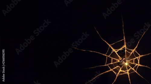 Firefly glows on a web with cracks in the dark