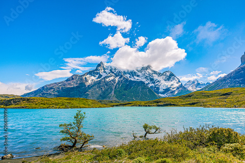 Quadro su tela Turquoise glacial lake with windswept trees frames snow-covered peaks of the Paine Massif under a clear blue sky in Torres del Paine National Park, Chile
