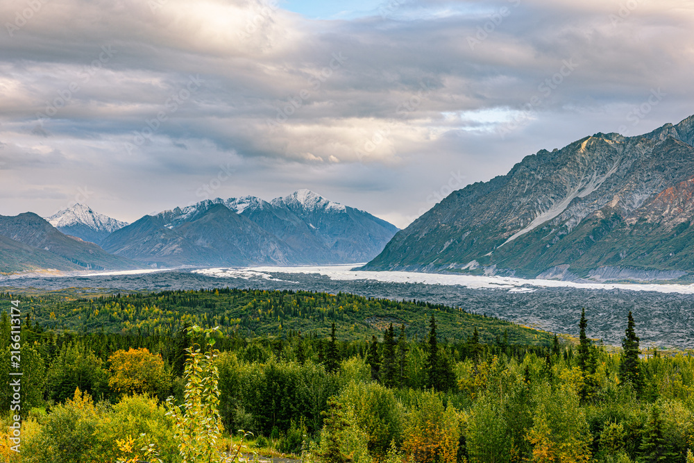 Fototapeta premium A braided glacial river winds through a forested valley flanked by rugged Chugach peaks.