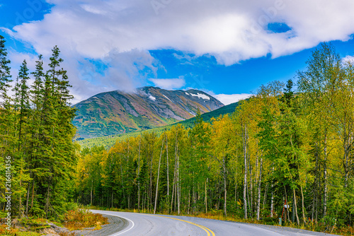 Quadro su tela A winding road curves through golden birch and spruce forest beneath a snow-dusted peak