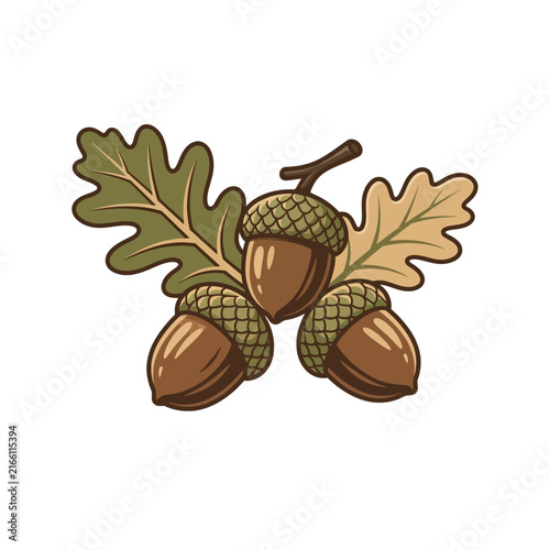 Halloween Cute cartoon acorn set, autumn oak nut illustration, retro vintage style, harvest season natural design, leaf and branch vector icon isolated on White Background editable SVG