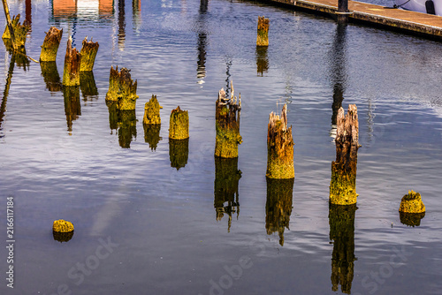 Pilings - Port of Siuslaw - Florence OR -001