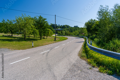 An empty asphalt road bends through a lush green park-like landscape dotted with tall trees and utility poles today. A small bridge appears in the distance beneath a bright, cloudless summer sky