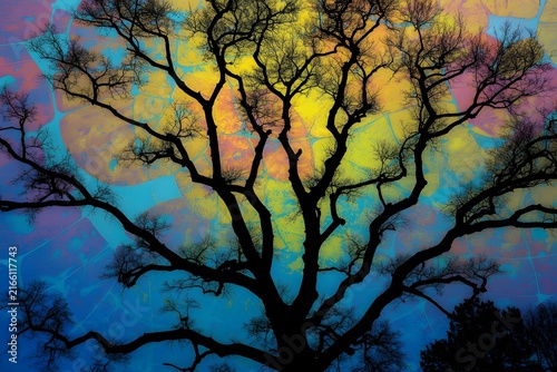 Bare tree silhouette with intricate branches against bright multicolored