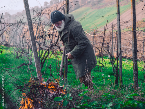 Fotografie A seasoned viticulturist manages organic waste by burning pruned vines in a rura