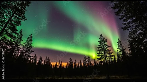 Vibrant aurora borealis glowing over dark pine forest.