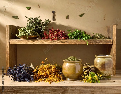 Wooden apothecary shelves with assorted dried medicinal herbs.