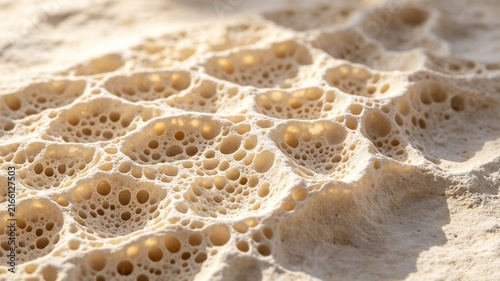 Weathered Honeycomb Stone Cavity Texture