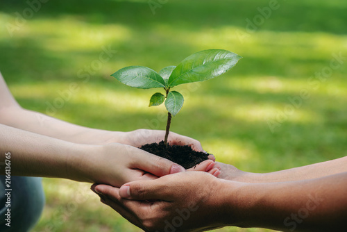 Konstfotografi People holding young tree seedling together with soil in hands for environmental