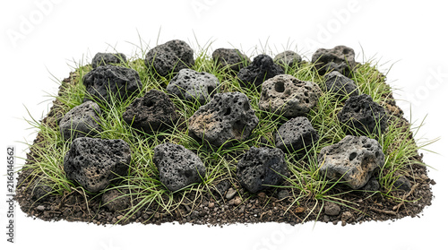 Obraz w ramie 白い背景に孤立した、青々とした緑の芝生と黒い多孔質の溶岩石が配置された土壌の3Dレンダリング。ガーデニングや造園、自然の景観デザイン、建築パースの素材として適した、リアルな質感のミニチュアグラウンド。