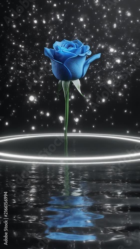 黒い鏡面に映る神秘的な青い薔薇の縦型動画