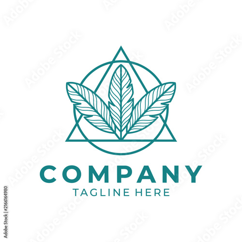 Abstract teal feather logo with geometric frame.
