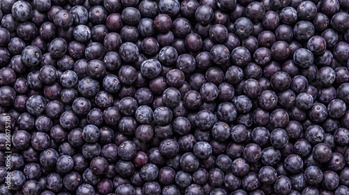 Fresh Acai Berry Texture Close Up View for Healthy Food Background