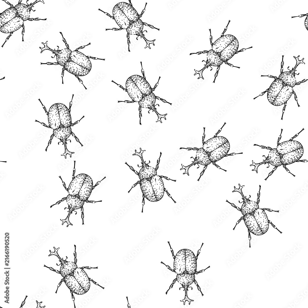 Naklejka premium seamless pattern Rhinoceros beetle presenting its distinctive horn structure in a detailed black and white hand drawing, ideal for science, nature, or educational designs