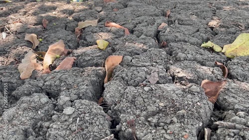 Deep Cracks on Dry Parched Earth with Fallen Leaves Background