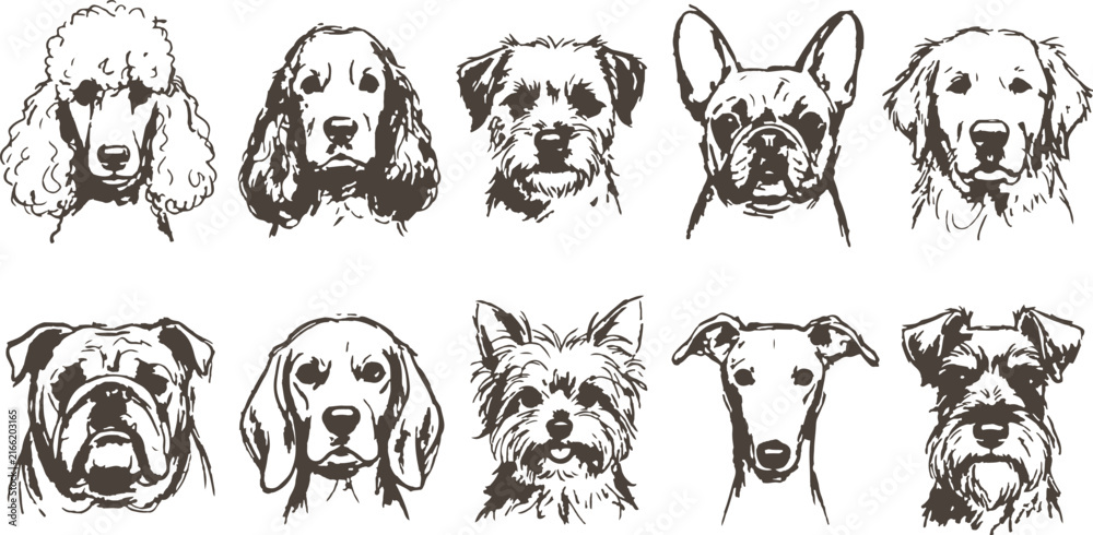 Fototapeta premium A charming collection of canine portraits featuring various breeds in a neutral vintage style