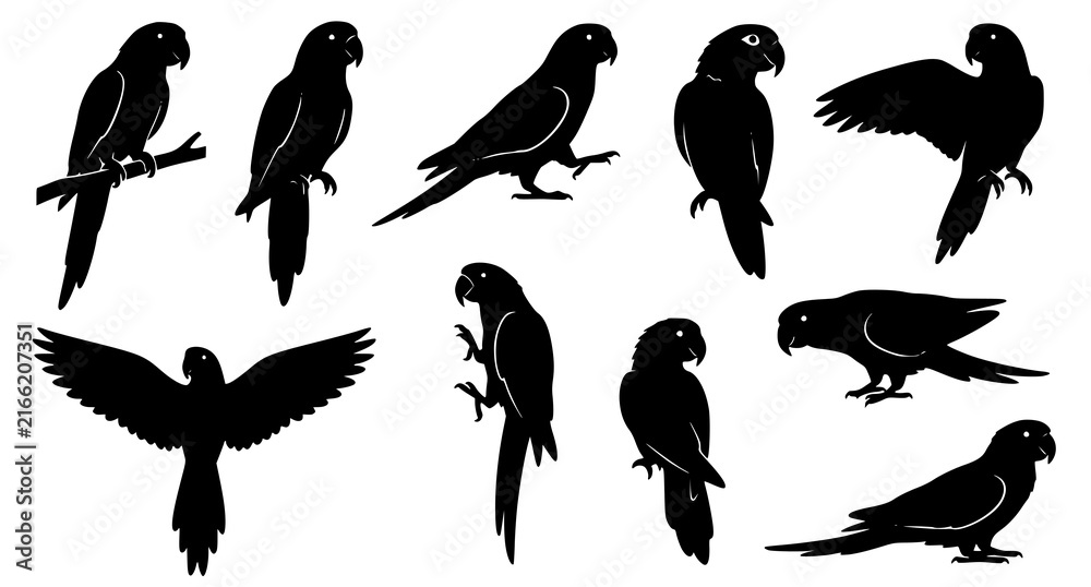 Fototapeta premium 10 Parrot Silhouettes Vector Set with Perching Flying and Tropical Bird Poses