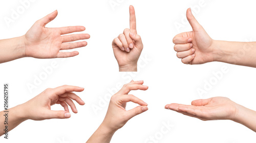 Картината върху платно Set of human hand gestures isolated on white background